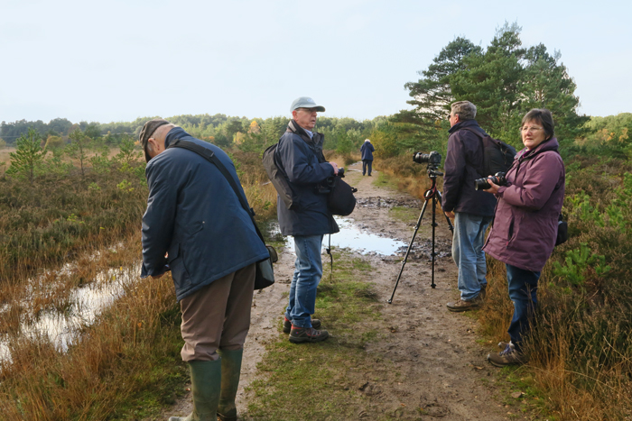 Thursley_1