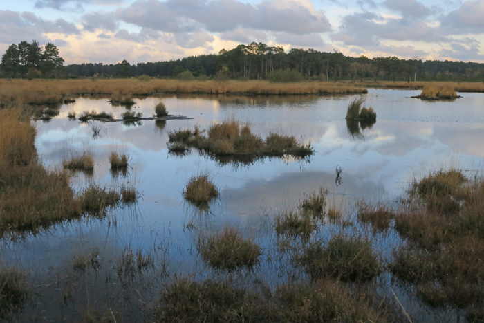 Thursley_2